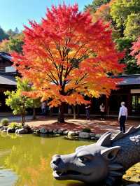 日本日光紅葉季必打卡地！錯過再等一年