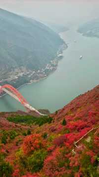 吐血整理三峽紅楓一日遊攻略巫山紅葉美哭我
