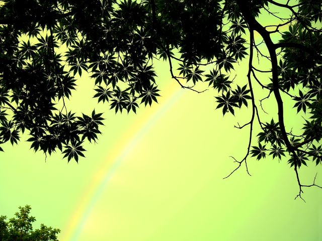 黃果樹瀑布最全攻略｜90%精華都在這篇了