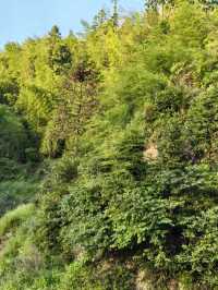 在仰天湖住進山林嘅詩意民宿，將日子過成嚮往嘅生活
