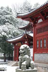嵩山雪景太絕了錯過等一年！一秒穿越冰雪仙境
