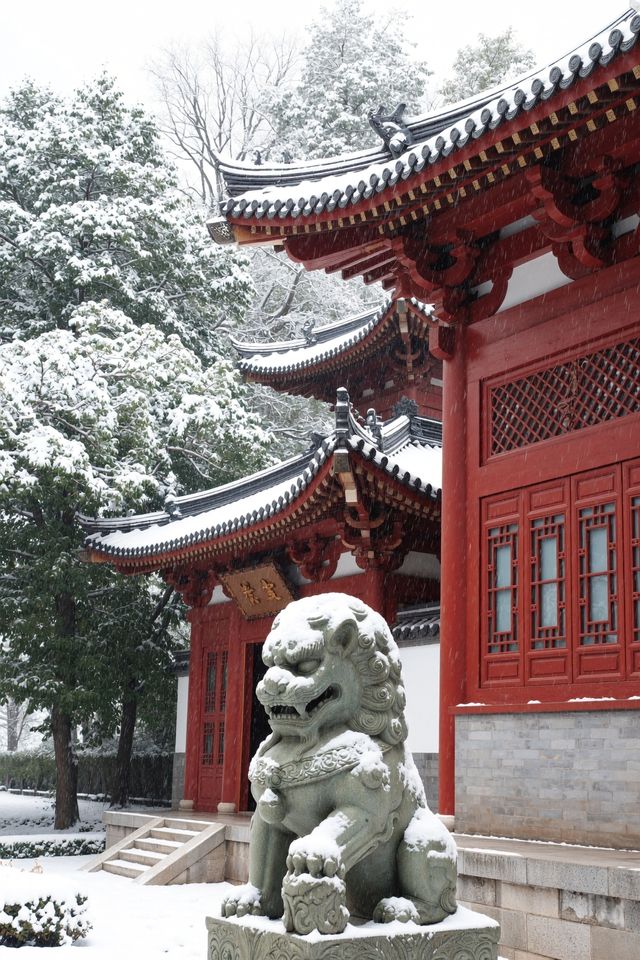 嵩山雪景太絕了錯過等一年！一秒穿越冰雪仙境