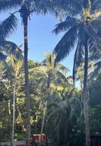 三亞蜈支洲島｜被藍到失語！海島天花板玩全攻略