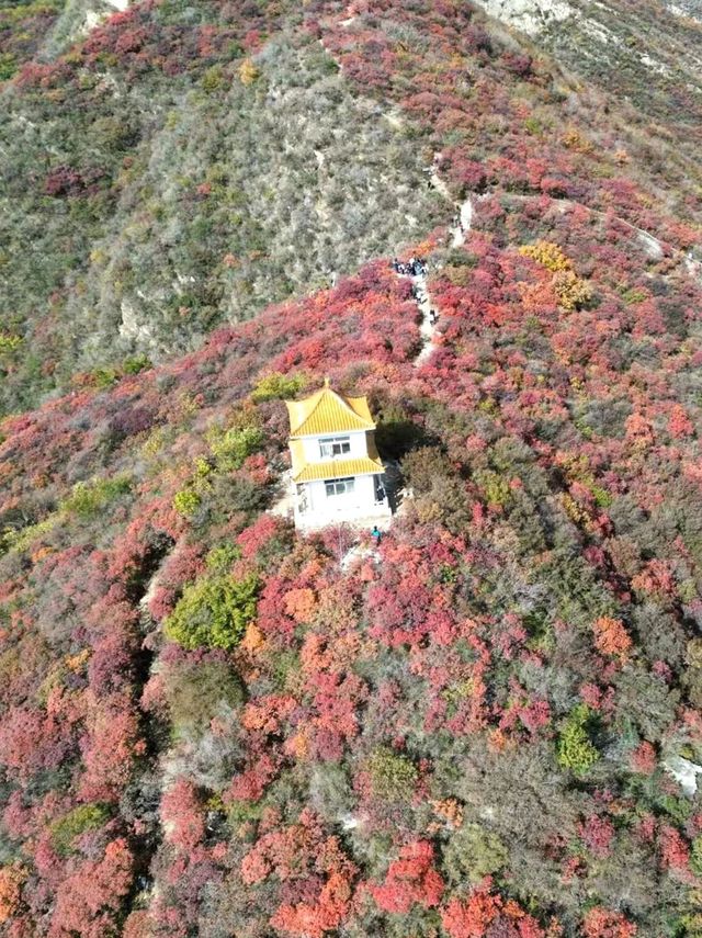 北京周邊賞秋地圖｜超全分區徒步路線
