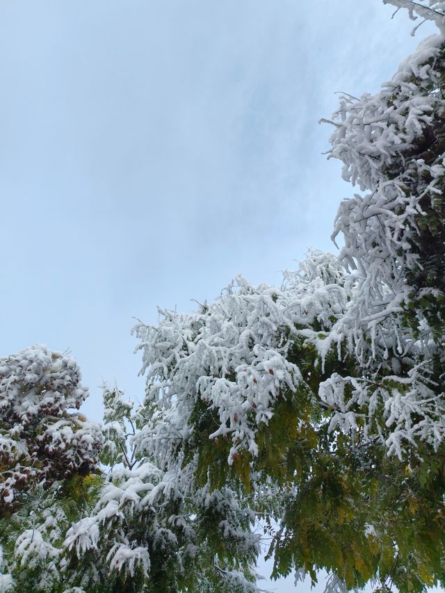 初雪降臨東鄉族自治縣｜在鎖南壩遇見最純淨的雪景