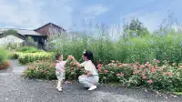 南岸美村，一個很美的小村莊
