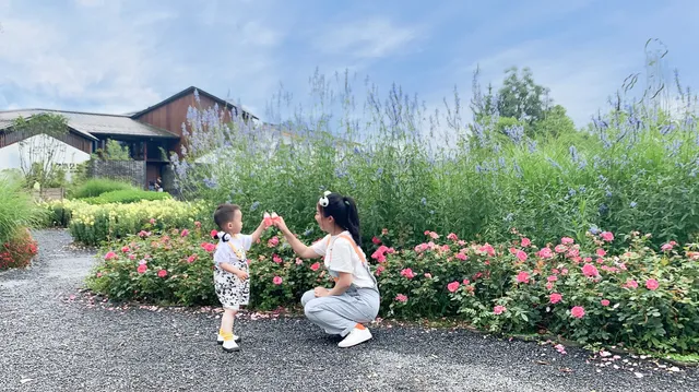 南岸美村，一個很美的小村莊