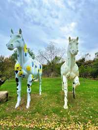淮安白馬湖公園的菊花展