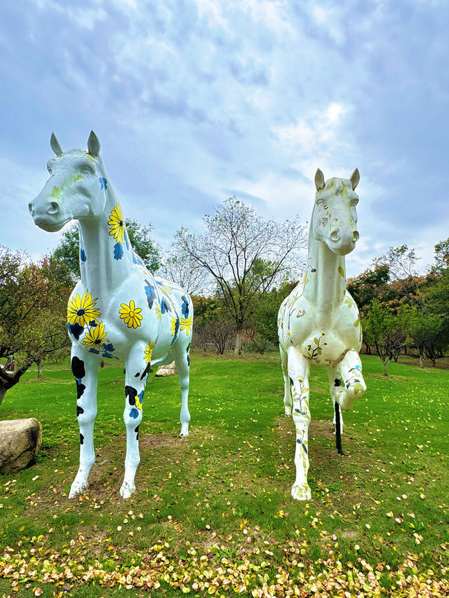 淮安白馬湖公園的菊花展