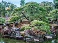 Solo in the Shogun's Garden: A Day at Nijo Castle, Kyoto