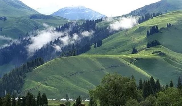 簡直震驚了 新疆這個小眾景點被我找到啦!唐布拉百里畫廊太美啦 簡直震驚了 新疆這個小眾景點被我找到啦!唐布拉百里畫廊太美啦