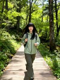 商洛3日遊 | 金絲峽與柞水溶洞經典組合・全人群適配攻略