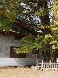 赴一場千年之約享避世之地的絕美秋色