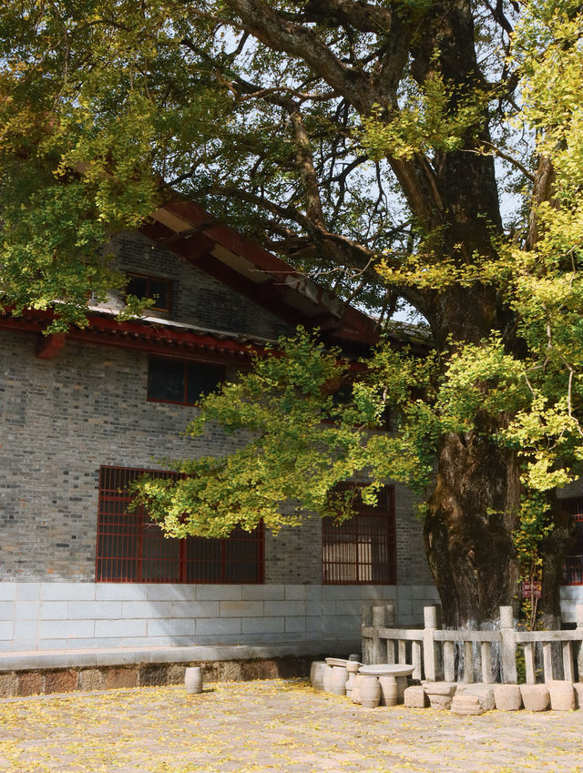 赴一場千年之約享避世之地的絕美秋色