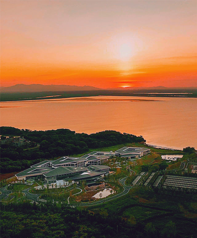 不用追著鳥群跑，這家酒店直接把「候鳥天堂」端到你窗邊