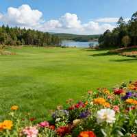 省錢遊彌勒2天夠過癮！湖泉踏浪、東風賞花，少花錢也能爽翻天