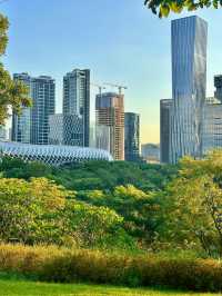 在深圳！找到了《怦然心動》同款的浪漫！