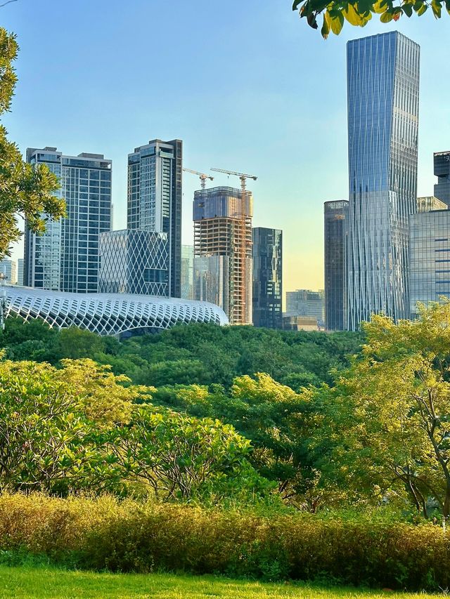 在深圳！找到了《怦然心動》同款的浪漫！