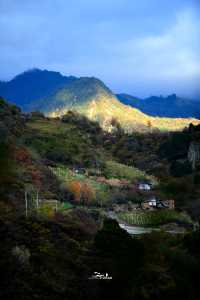 這裡的秋色不等人