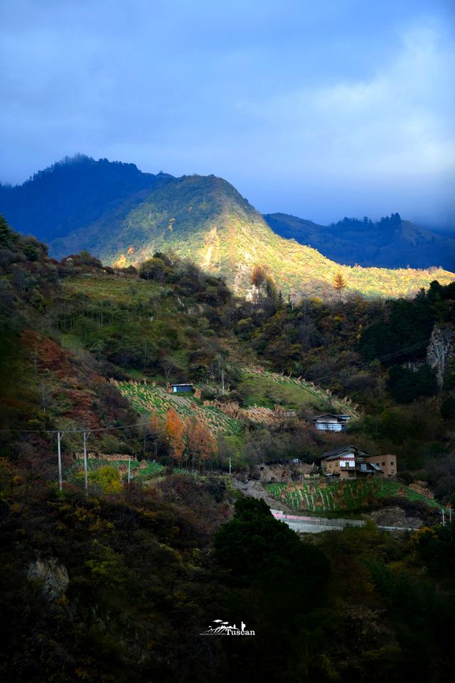 這裡的秋色不等人