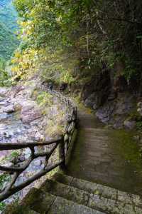 秋假反向遊 |麗水遂昌自駕兩天一夜小記