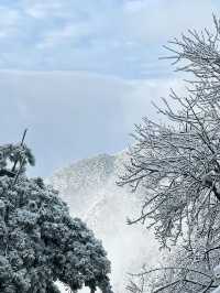 廬山第一場霧淞真的太美了