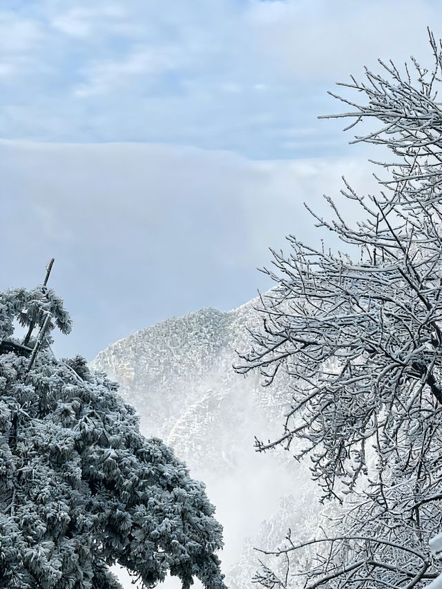 廬山第一場霧淞真的太美了
