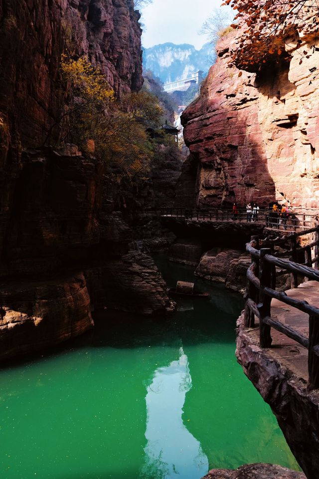 暮秋初冬的雲台山，是藏不住的治癒感