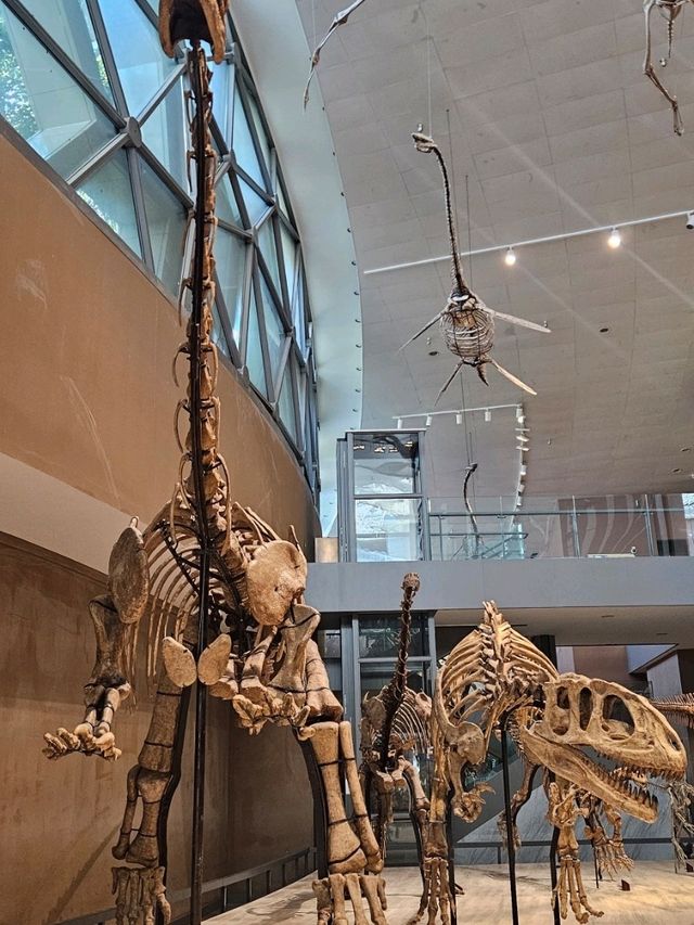 Shanghai Natural History Museum: Dinosaur Vibes & Stunning Artwork 🦖🦋 Shanghai Natural History Museum: Dinosaur Vibes & Stunning Artwork 🦖🦋