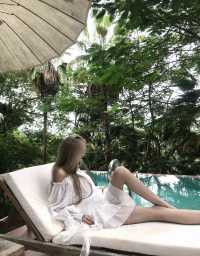 雨林野奢酒店指南