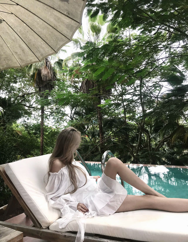 雨林野奢酒店指南 雨林野奢酒店指南