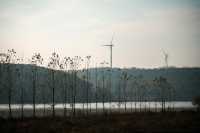 南京止馬嶺 秋季徒步出片指南