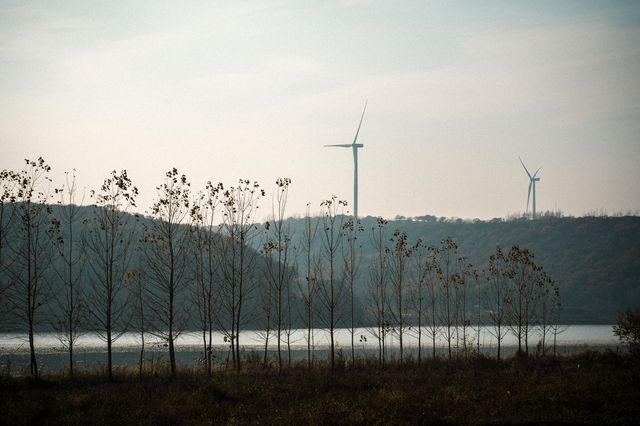 南京止馬嶺 秋季徒步出片指南