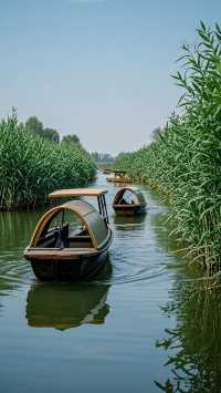 周口市五天四晚旅遊攻略