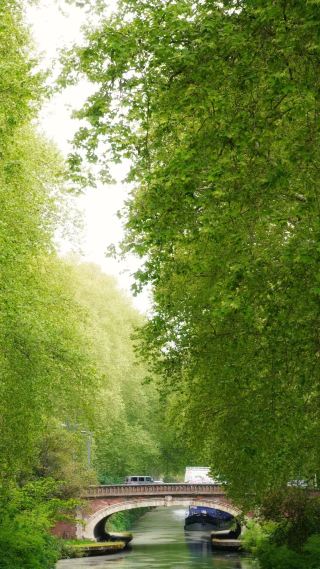 April in Toulouse｜Encounter French Gentleness and Punk Romance in the Pink City