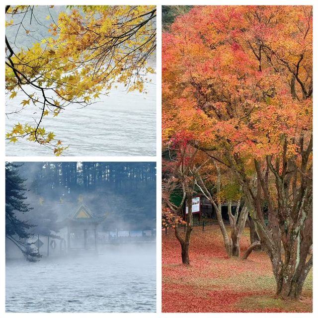 雲霧丹楓解鎖仙俠界現實版！