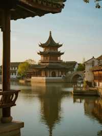 泰州親子遛娃｜免費景點打卡攻略12.31前衝