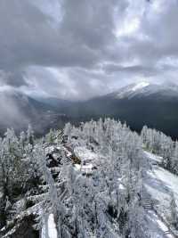 被喀納斯的美震撼到說不出話這才是新疆旅遊的天花板,阿勒泰皇冠上的明珠說的就是這裡吧 【必