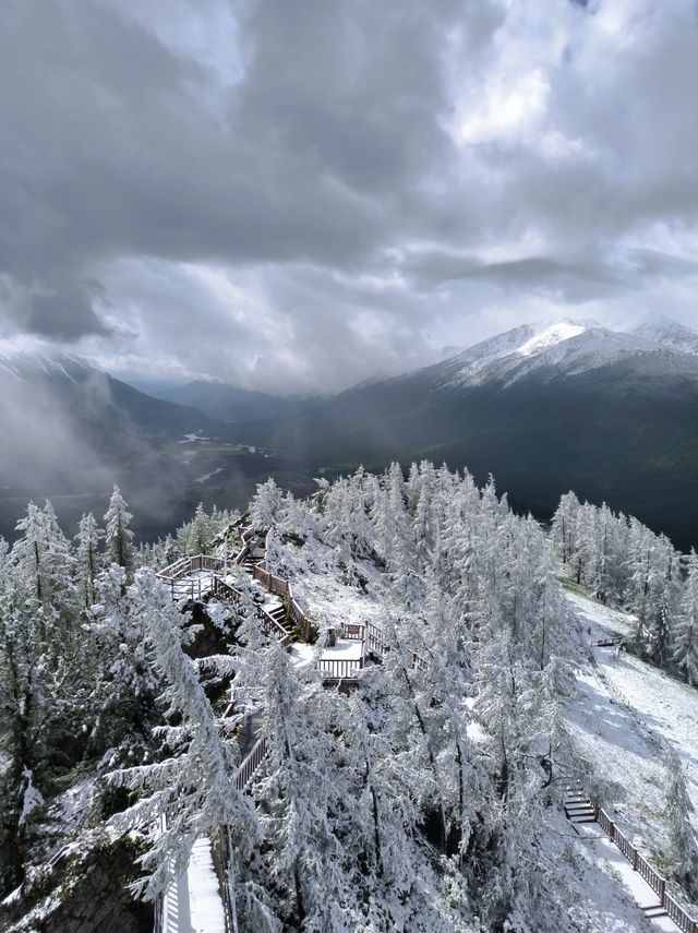 被喀納斯的美震撼到說不出話這才是新疆旅遊的天花板,阿勒泰皇冠上的明珠說的就是這裡吧 【必 被喀納斯的美震撼到說不出話這才是新疆旅遊的天花板,阿勒泰皇冠上的明珠說的就是這裡吧 【必