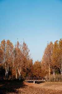 北龍湖的「水上油畫」秋冬限定美到窒息