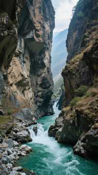 野性尼農穿越記