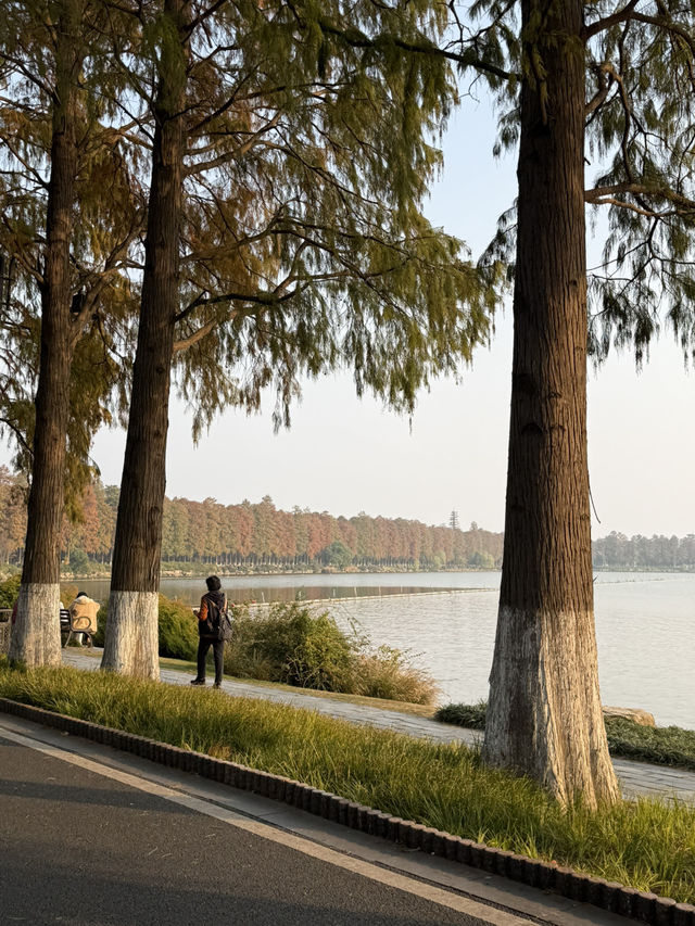 武漢 / 東湖景區