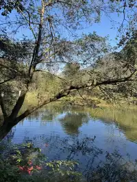 室外遛娃｜諸暨五泄 闖入秋葉世界
