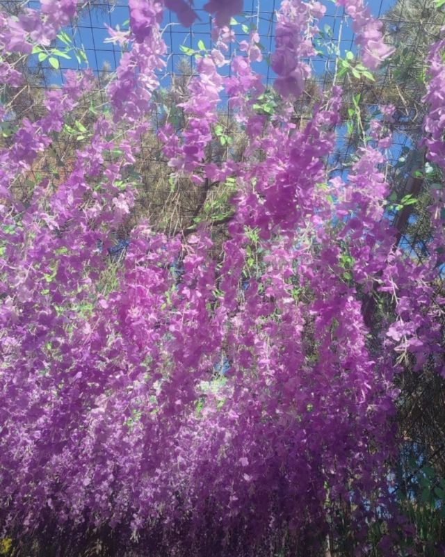 京娘湖寶藏打卡地!碧波青山美如畫 京娘湖寶藏打卡地!碧波青山美如畫