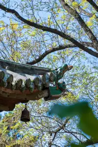 別再衝敦煌了，永樂宮一樣讓你震撼！