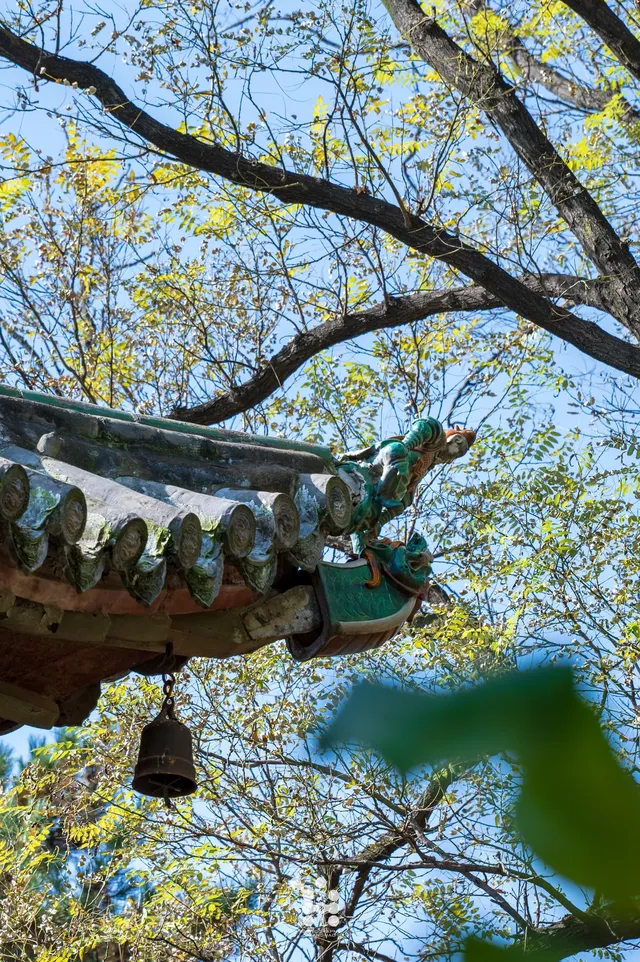 別再衝敦煌了，永樂宮一樣讓你震撼！