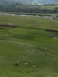 新疆伊犁8天暴走行程|自由行旅遊攻略