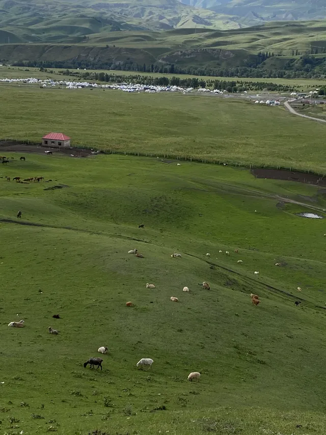 新疆伊犁8天暴走行程|自由行旅遊攻略 新疆伊犁8天暴走行程|自由行旅遊攻略