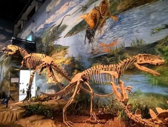 穿越兩億年的溫柔叩門聆聽時間破碎的聲音 穿越兩億年的溫柔叩門聆聽時間破碎的聲音