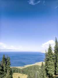 秋日限定阿勒泰地區等地美到失語快衝